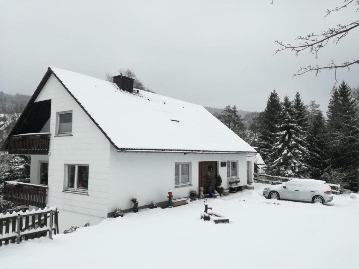 Ferienwohnung Birgit Winterberg Ngoại thất bức ảnh